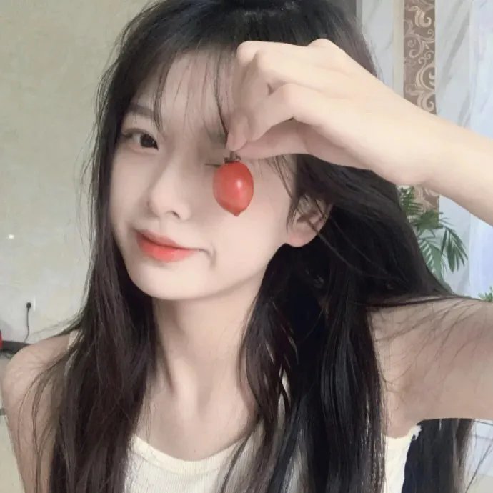 双子座计划